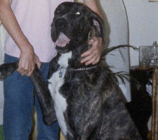Bubba